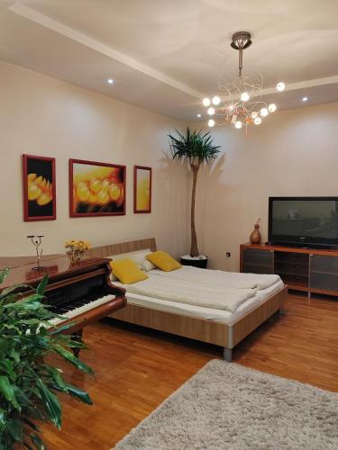 DR Apartment Novi Sad stan na dan smestaj u Patrijarha Rajacica u Podgradju Petrovaradinske tvrdjave sa masinom za sudove dvoristem parkingom